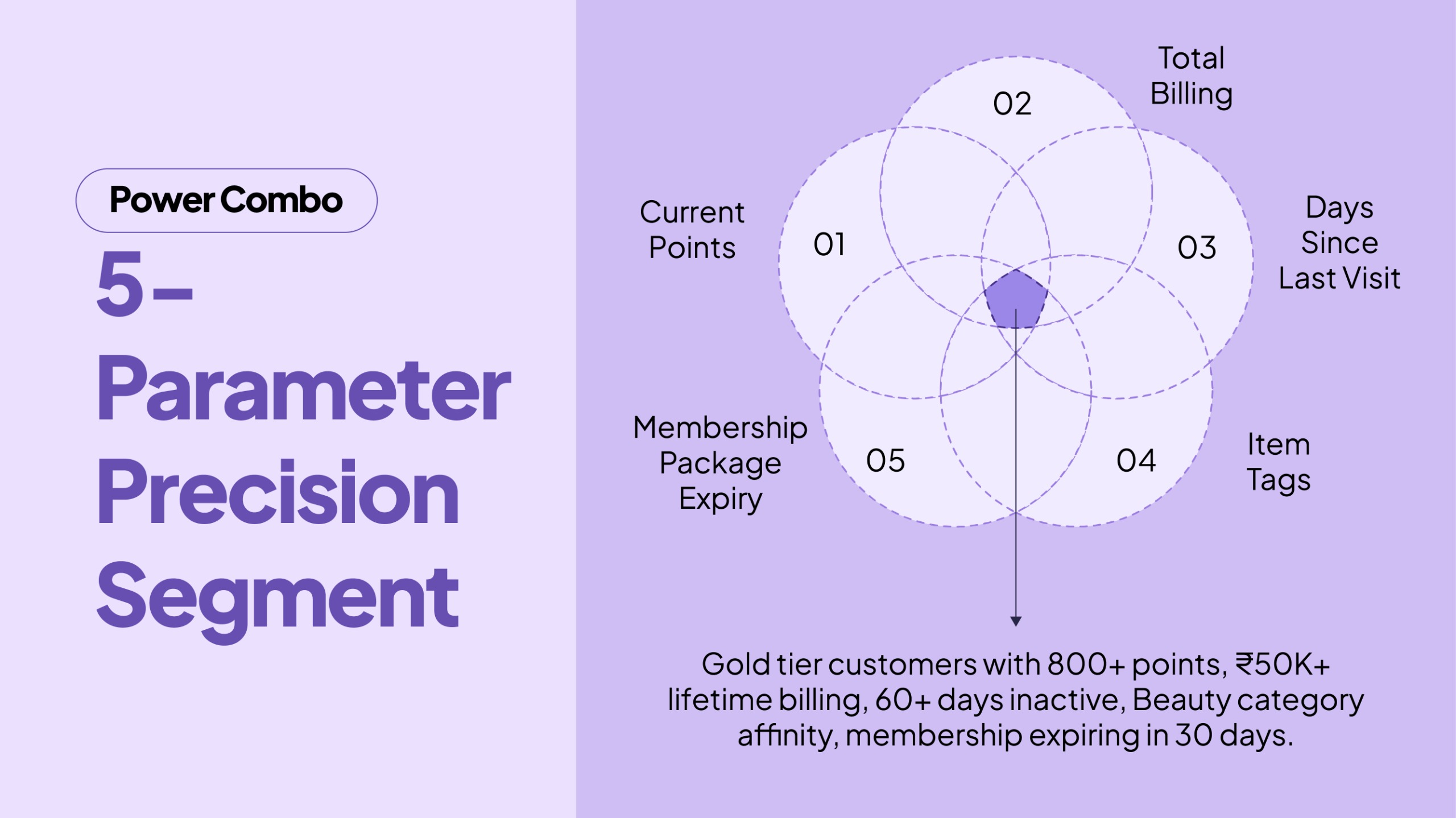 Current Points + Total Billing + Days Since Last Visit + Item Tags + Membership Package Expiry